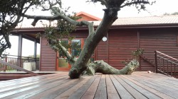 Building (91)
